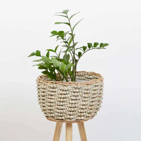 Rattan Export Seagrass Planter With Removable Stand - REX-SG0100011601