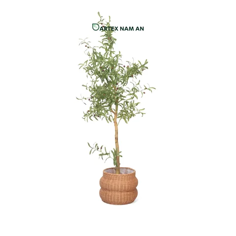 Rattan Export Wholesale Planter made from Rattan Core with Nylon Lining for Indoor Garden, Lobby and HORECA Decoration - REX-TF26-0029