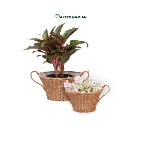 Rattan Export Wholesale Planter made from Rattan in set of 2 for Indoor Garden, Home, Office and HORECA Décor - REX-TF26-0030