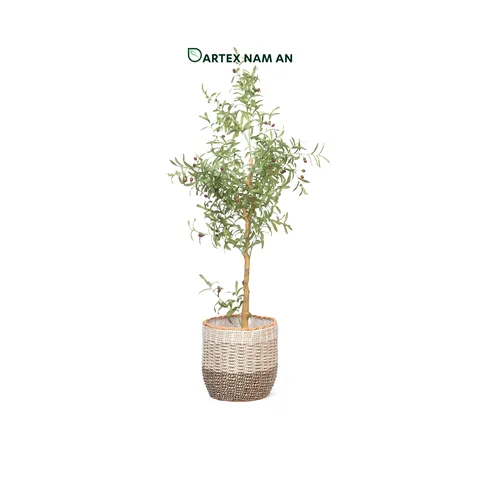 Rattan Export Wholesale Planter made from Seagrass and Rattan in set of 2 for Indoor Garden, Home, Office and HORECA Décor - REX-TF26-0031