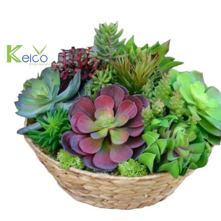 Rattan Export Wholesalers plant potholder made in Vietnam - REX-84230711005
