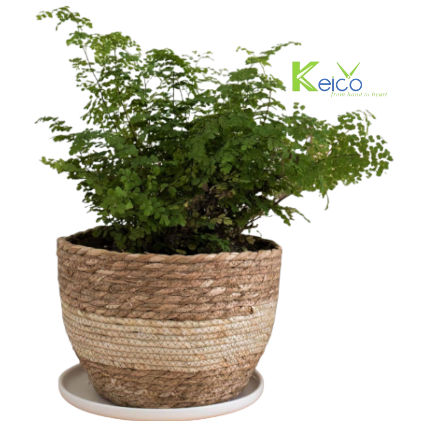 Rattan Export Wholesalers plant pot holder made in Vietnam - REX-84230711001