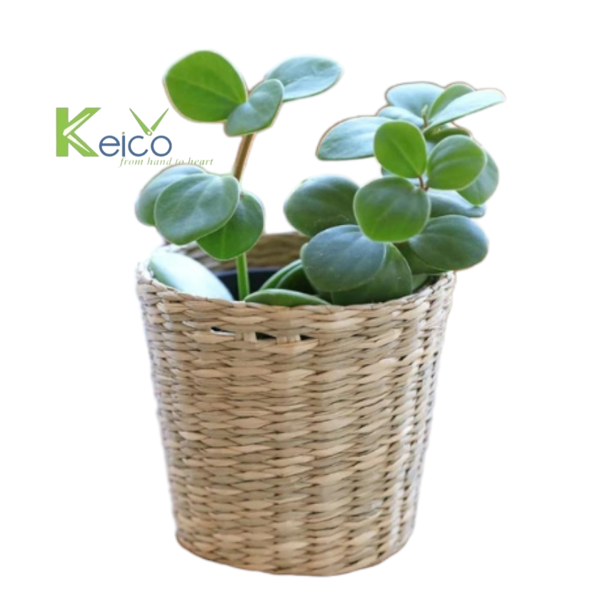 Rattan Export The best prices plant potholder made in Vietnam - REX-842307092