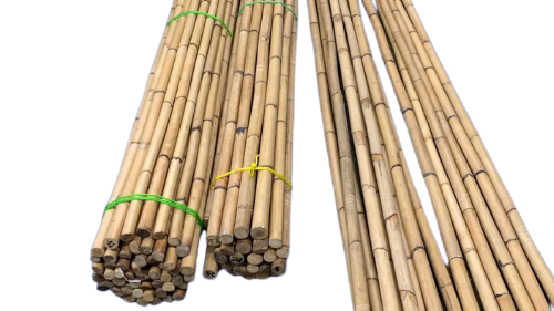 Rattan Export Rattanstange