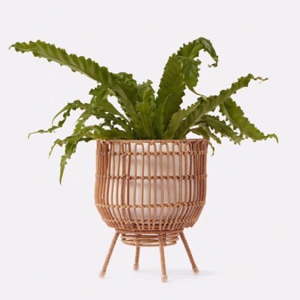 Rattan Export Kệ cây bằng mây Mẫu 03