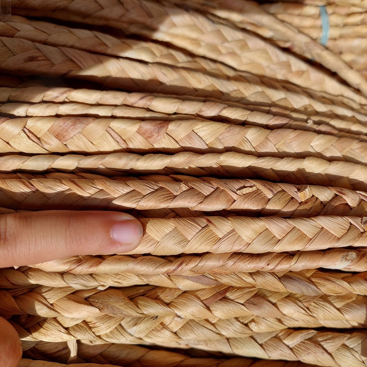 Rattan Export Geflochtenes Seil aus Wasserhyazinthe