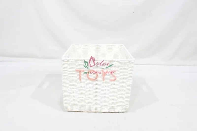 Rattan Export Decorative Paper Rope Woven Basket – Natural Storage Organizer - REX-CH4422A-1WH