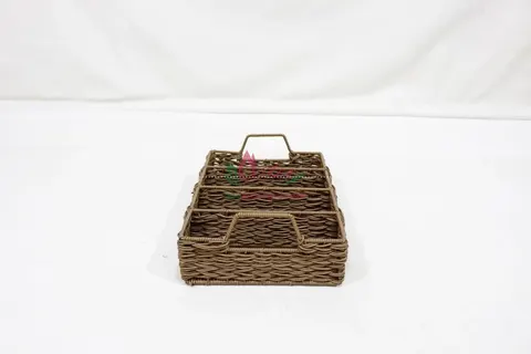 Rattan Export Decorative Plastic Rope Woven Tray for Home Organization - REX-CH5022A-1BR