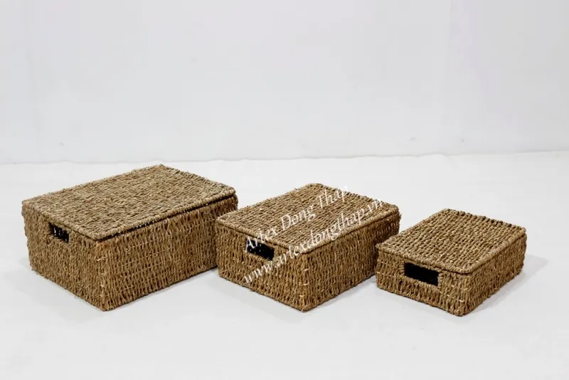 Rattan Export Seagrass Trunk - REX-SD4311A-3NA