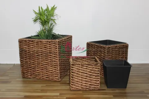 Rattan Export Water hyacinth planter - REX-SD9200A-3BR02