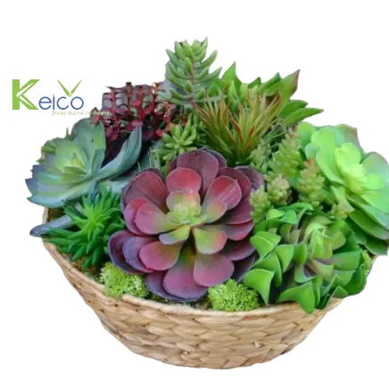 Rattan Export Portavaso per grossisti, prodotto in Vietnam - REX-84230711005