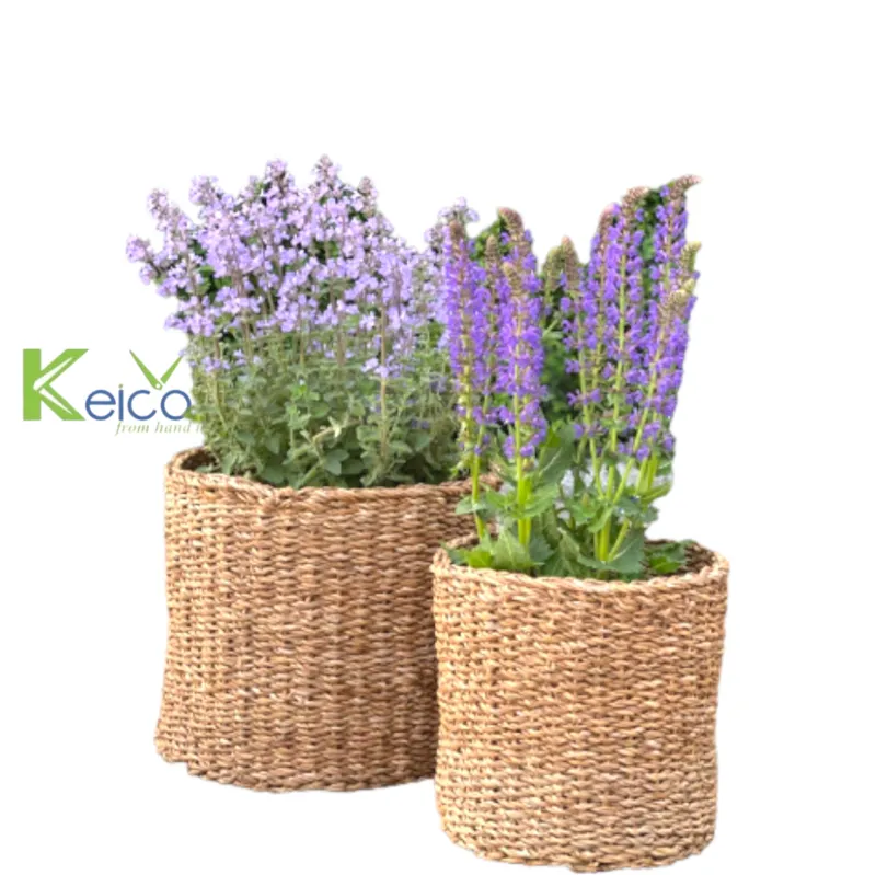 Rattan Export Portavaso per grossisti, prodotto in Vietnam - REX-84230711002