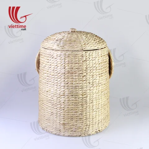 Elephant Shaped Water Hyacinth Laundry