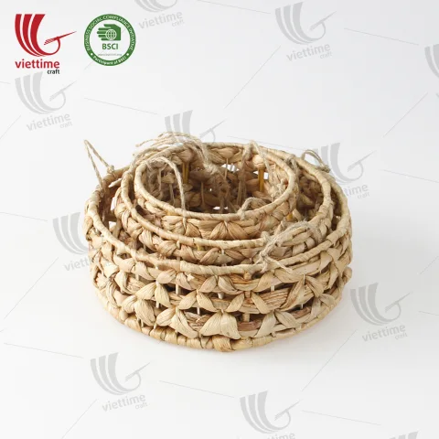 Water Hyacinth Plant Hanger Wholesale