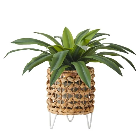 Water Hyacinth Plant Stand