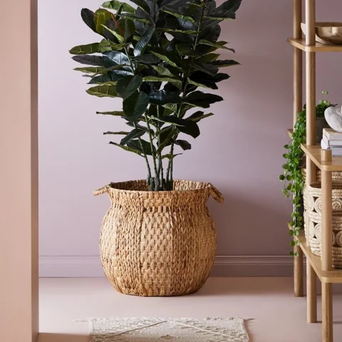 Water Hyacinth Plant Holder
