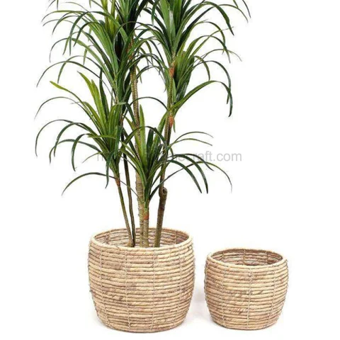 Water Hyacinth Plant Holder