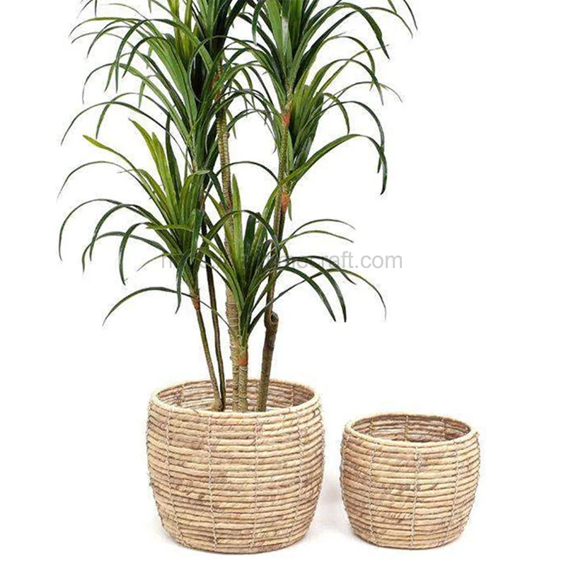 Water Hyacinth Plant Holder
