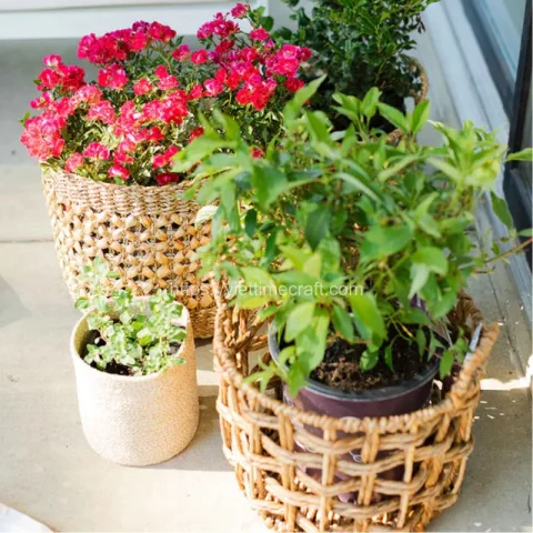 Water Hyacinth Storage Basket With Handle