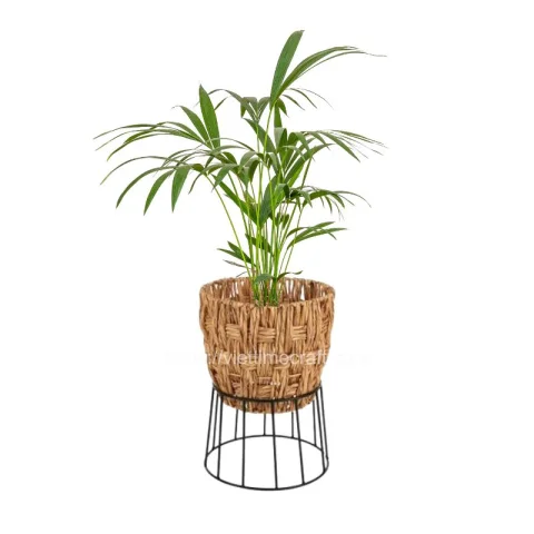 New Water Hyacinth Planter Vietnam Wholesale