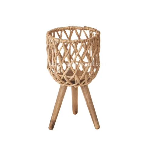 Indoor Water Hyacinth Planter With Stand