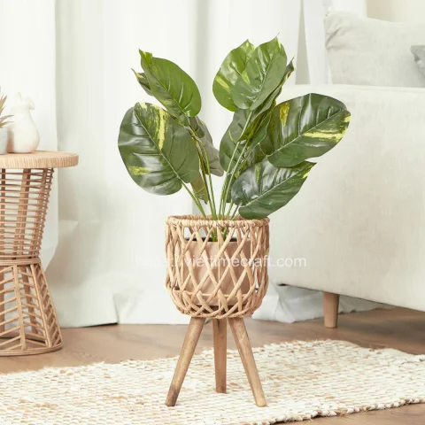 Indoor Water Hyacinth Planter With Stand