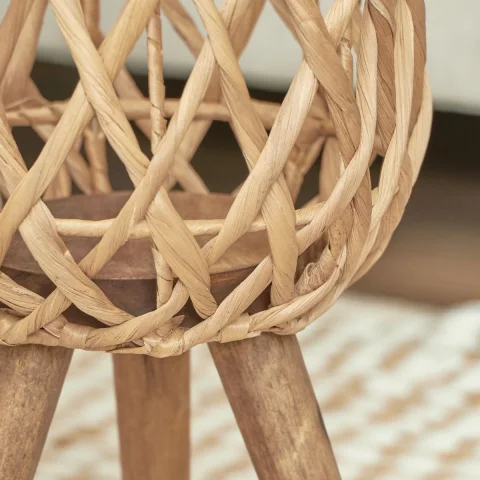 Indoor Water Hyacinth Planter With Stand
