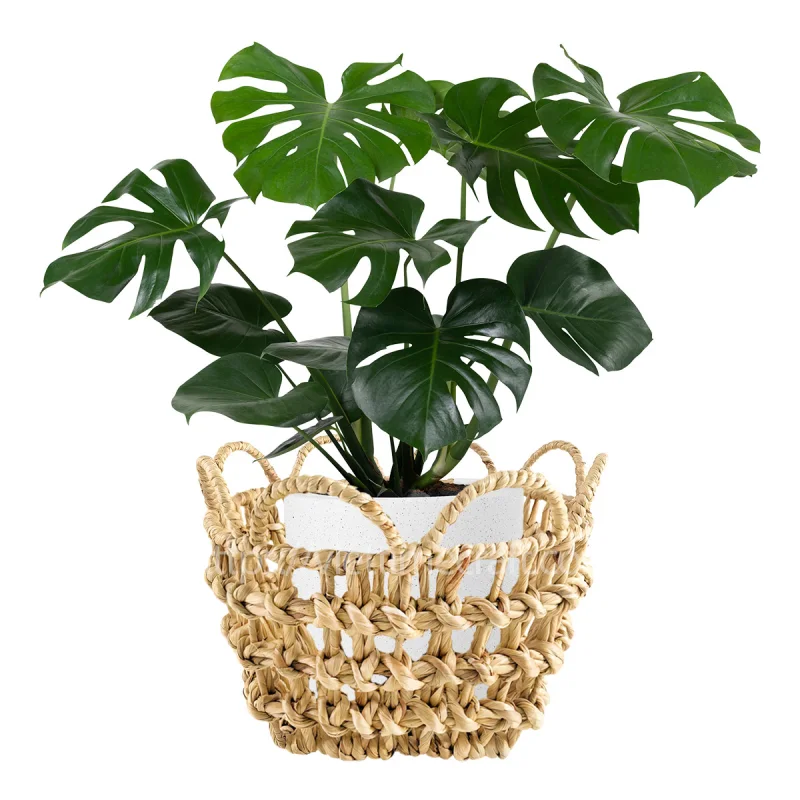 Braided Water Hyacinth Planter with Scalloped Edge Wholesale
