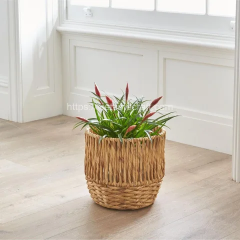Home Decoration Water Hyacinth Planter With Plastic Pot