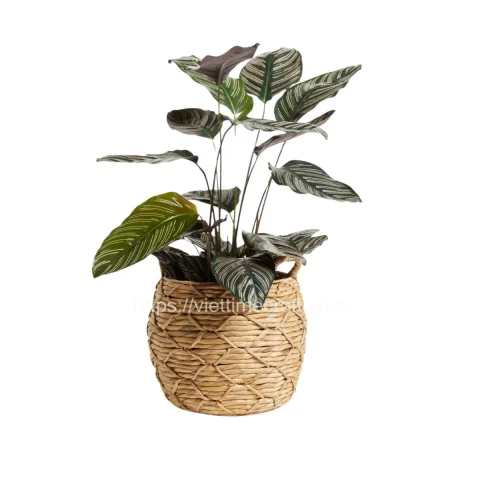 Wholesale Water Hyacinth Planter/ Flower Pot