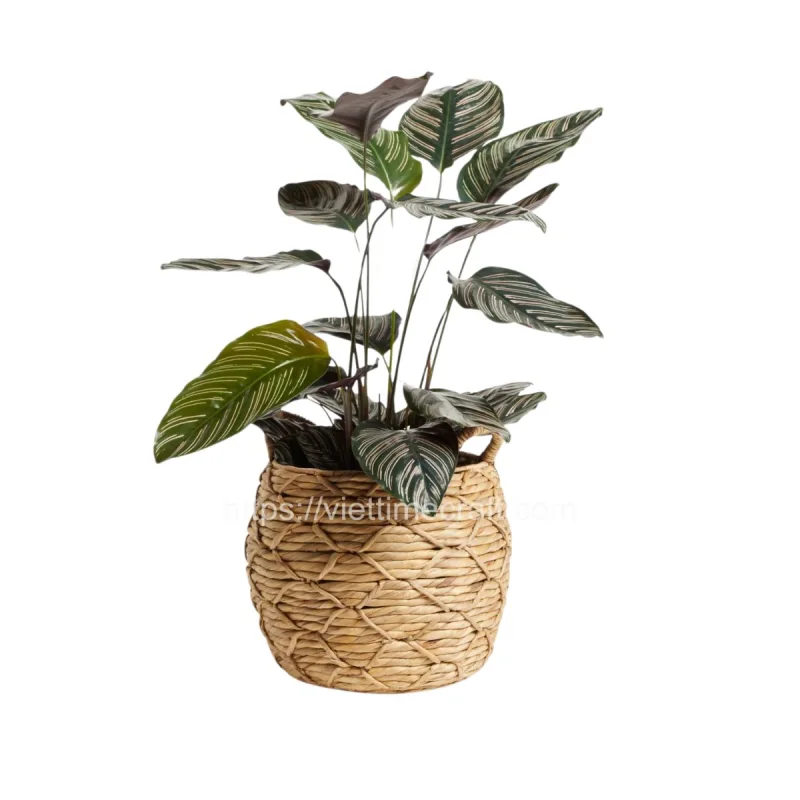 Wholesale Water Hyacinth Planter/ Flower Pot