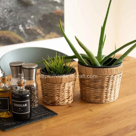 Best Price Water Hyacinth Planter With Pot