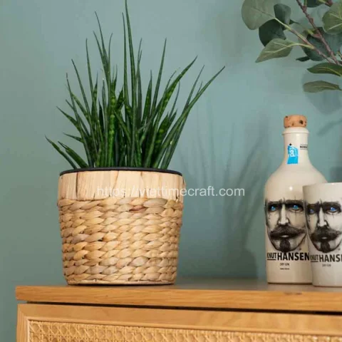Best Price Water Hyacinth Planter With Pot