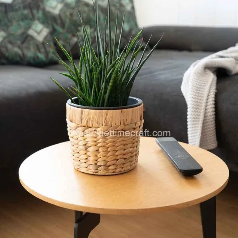 Best Price Water Hyacinth Planter With Pot