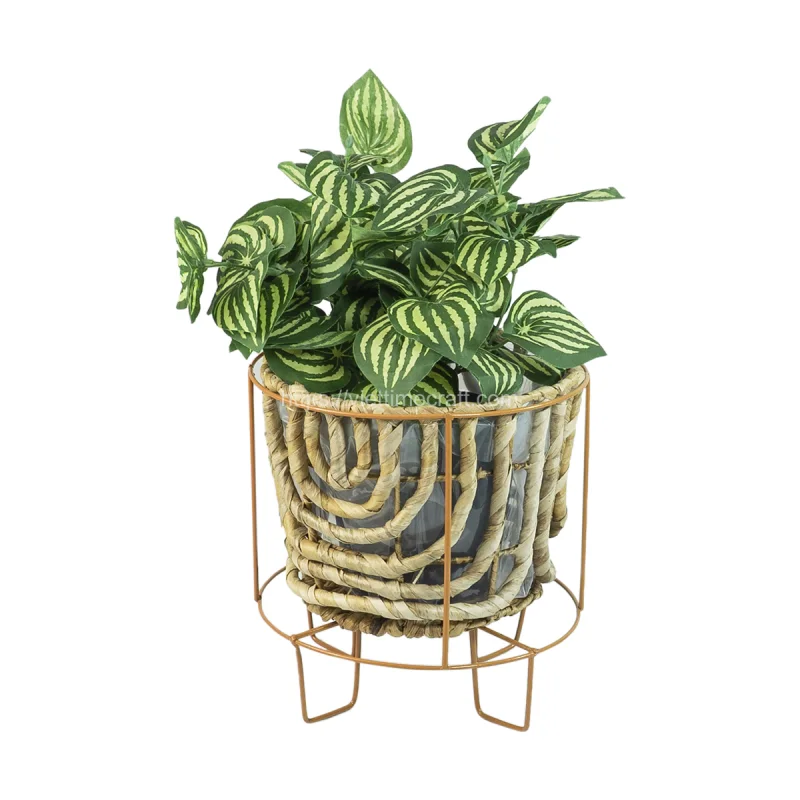 Unique Shape Water Hyacinth Planter/Flower Pot With Metal Stand Indoor