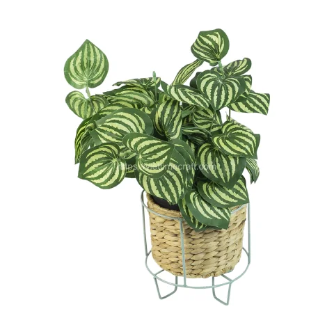 Unique Shape Water Hyacinth Planter/Flower Pot With Metal Stand Indoor
