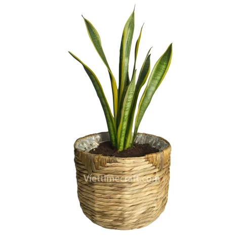 Hot Product Water Hyacinth Basket Planter Wholesale