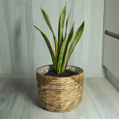 Hot Product Water Hyacinth Basket Planter Wholesale