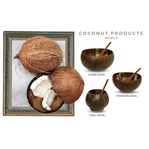 Natural Coconut Shell Bowl Decorative Key Storage – BD008