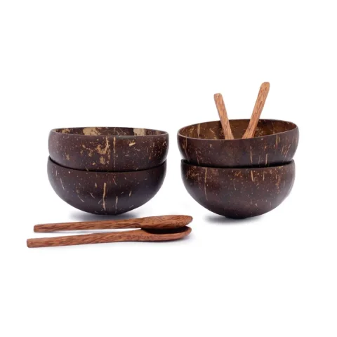 Natural Coconut Shell Bowl Decorative Key Storage – BD008