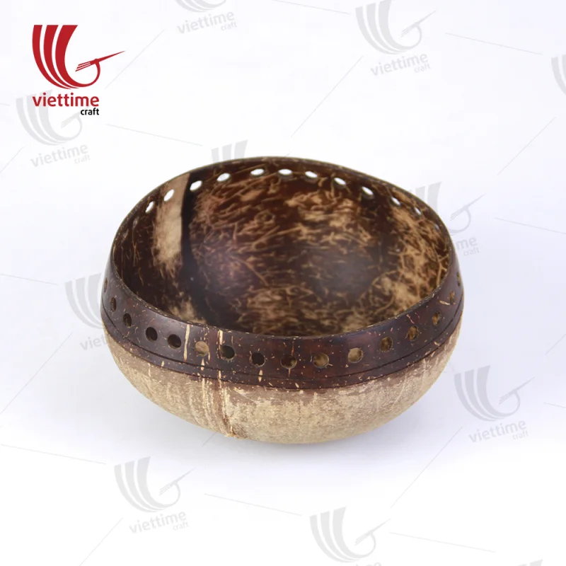 Unique Coconut Shell Hanging Pot
