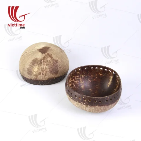 Unique Coconut Shell Hanging Pot