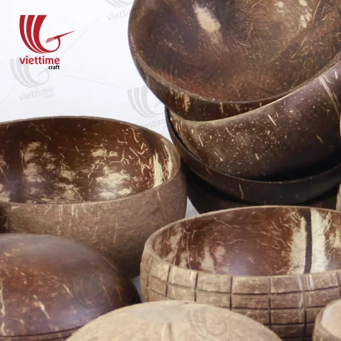 Unique Coconut Shell Hanging Pot