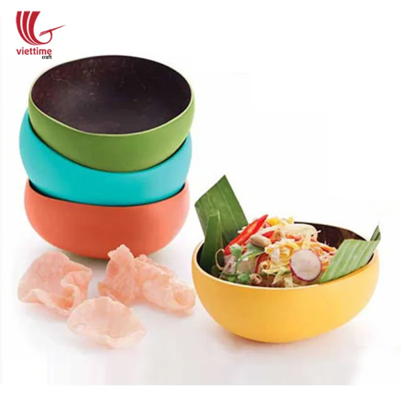 Colorful Lacquered Outside Coconut Bowls