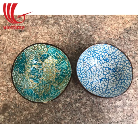 Handcrafted Eggshell Coconut Bowl