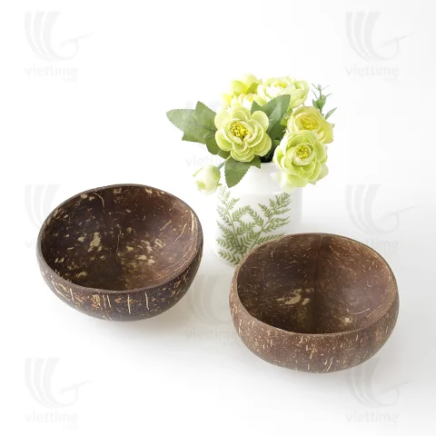 Coconut Shell Bowl Set