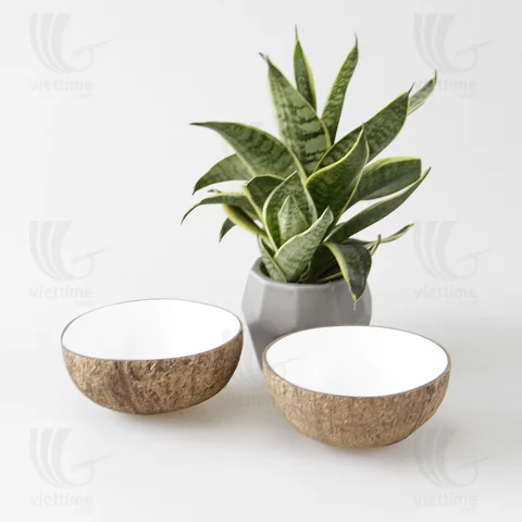 Coconut Shell Bowl Set