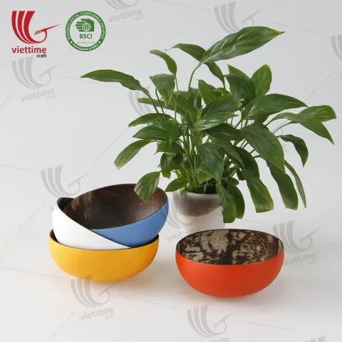 Lacquered Outside Coconut Bowl Wholesale