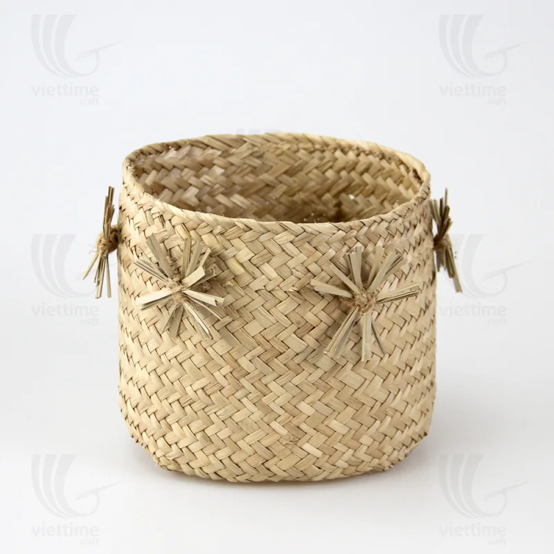 Seagrass Plant Holder