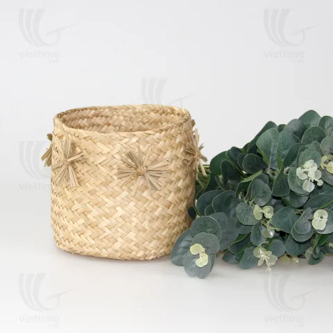 Seagrass Plant Holder